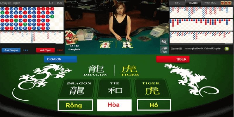 Hướng dẫn cách chơi Rồng Hổ chi tiết cho tân thủ tại Xoso66 2 Bạn cần hiểu rõ cửa đặt cược trong cách chơi Rồng Hổ